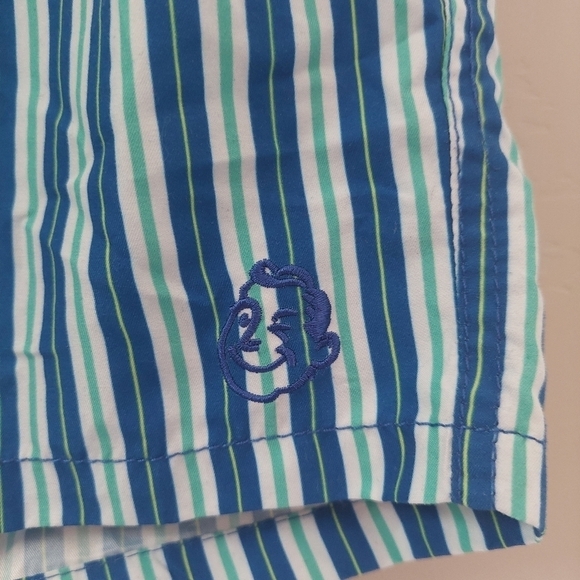 Beach Bros Blue White Green Swim Trunks Stripped Men's Medium - Picture 11 of 13